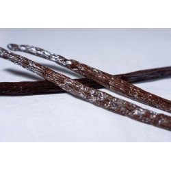 3 Gousses de vanille